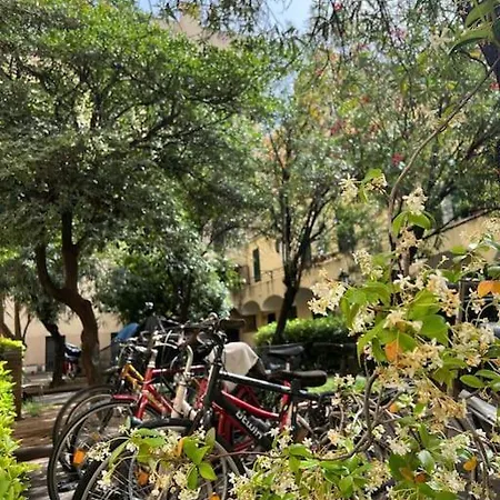 I 3 Moschettieri * Rome